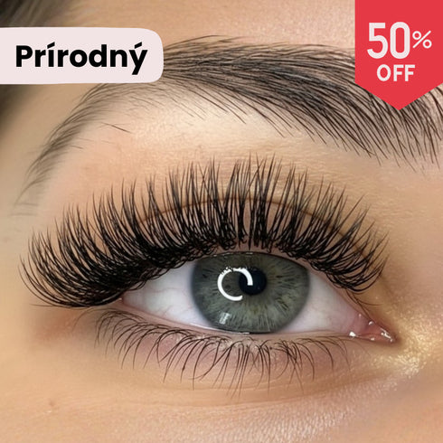 Magnetické mihalnice